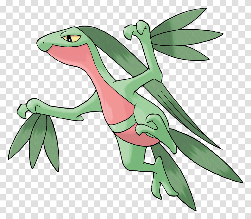 Pokemon Pokedex Omega Pokemon Grovyle, Animal, Bird, Reptile, Lizard Transparent Png