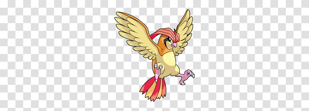 Pokemon Shiny Pidgeotto Pokedex Evolution Moves Location, Animal, Bird, Finch, Flying Transparent Png