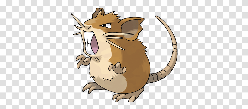 Pokmon Gif Don't Be Like Raticate By Chasing The Person Pokemon Raticate, Animal, Mammal, Rodent, Wildlife Transparent Png