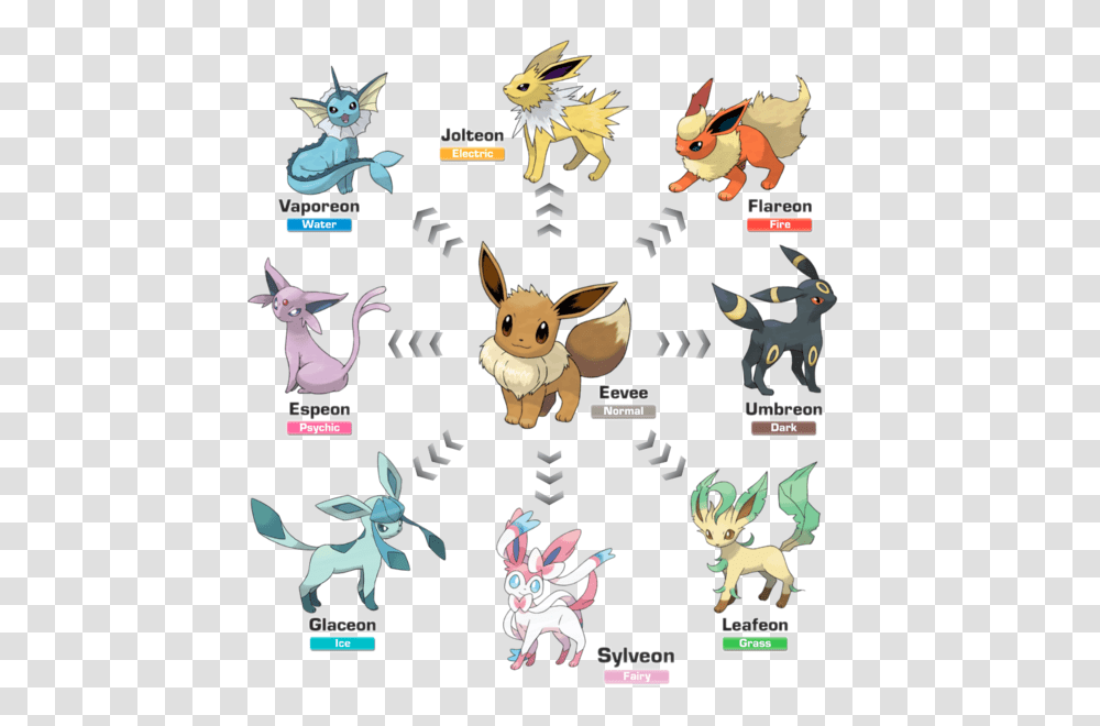 Pokmon Go' Generation 2 Eevee Evolution One Time Limit For Eevee Pokemon, Poster, Costume, Animal, Text Transparent Png