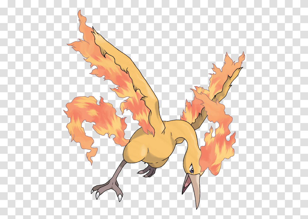 Pokmon Moltres, Dragon, Person, Human, Animal Transparent Png