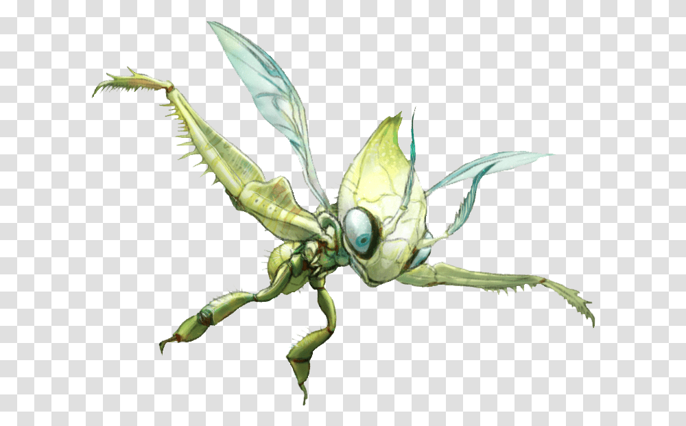 Pokmon X And Y Insect Invertebrate Fauna Membrane Realistic Pokemon, Animal, Cricket Insect, Mantis, Wasp Transparent Png