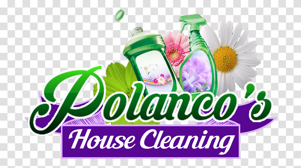 Polancos House Cleaning African Daisy, Bottle, Plant, Jar, Flower Transparent Png