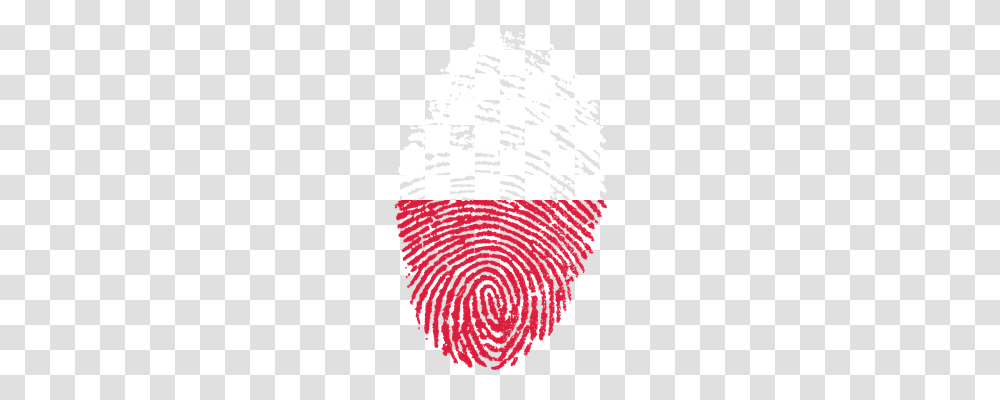 Poland Person, Rug, Water Transparent Png