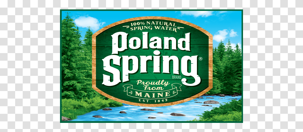 Poland Spring Water 24 Pack, Vegetation, Plant, Rainforest, Tree Transparent Png