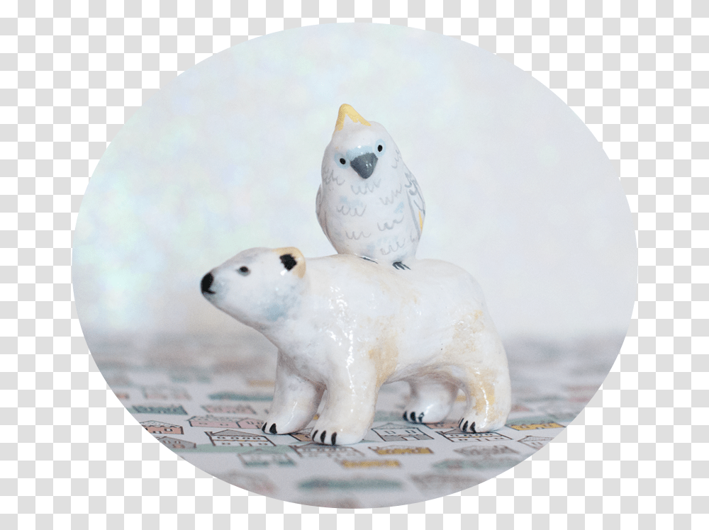 Polar Bear And Cockatoo, Wildlife, Mammal, Animal, Giant Panda Transparent Png