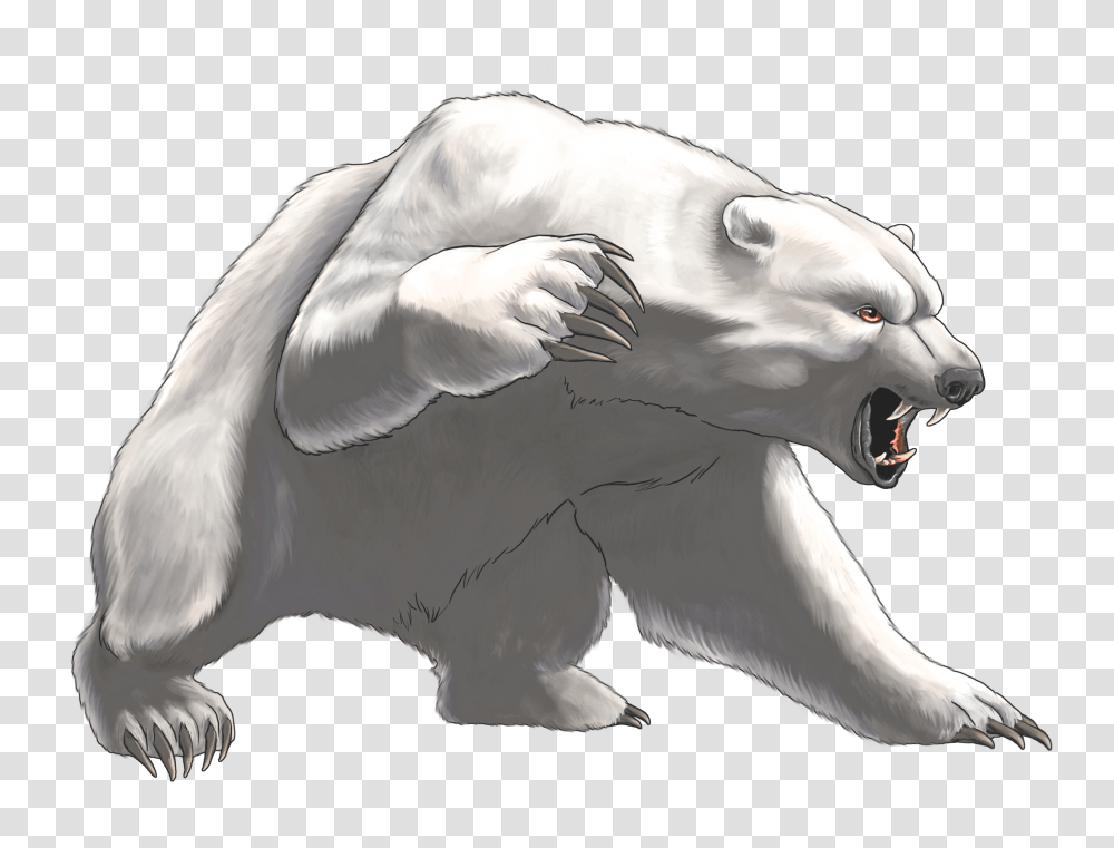 Polar Bear, Animals, Mammal, Wildlife, Bird Transparent Png