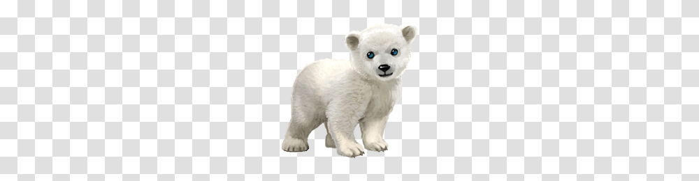 Polar Bear, Animals, Wildlife, Mammal, Toy Transparent Png