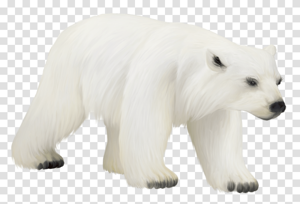 Polar Bear Bird Animal Clip Art Polar Bear, Mammal, Dog, Pet, Canine Transparent Png