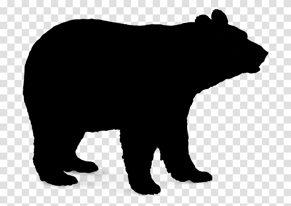 Polar Bear Brown Bear American Black Bear Vector Graphics Vector Black Bear, Gray, World Of Warcraft Transparent Png
