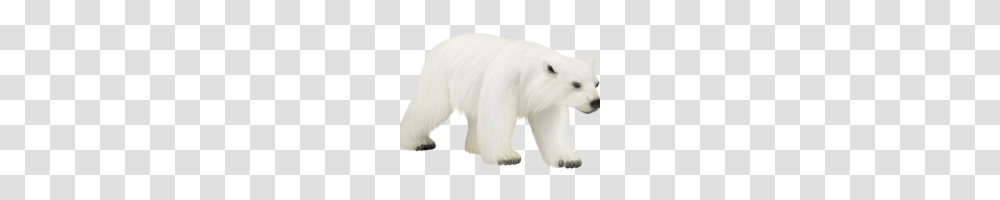 Polar Bear Clipart Polar Bear Bear Clip Art Polar Bear, Mammal, Animal, Wildlife, Canine Transparent Png