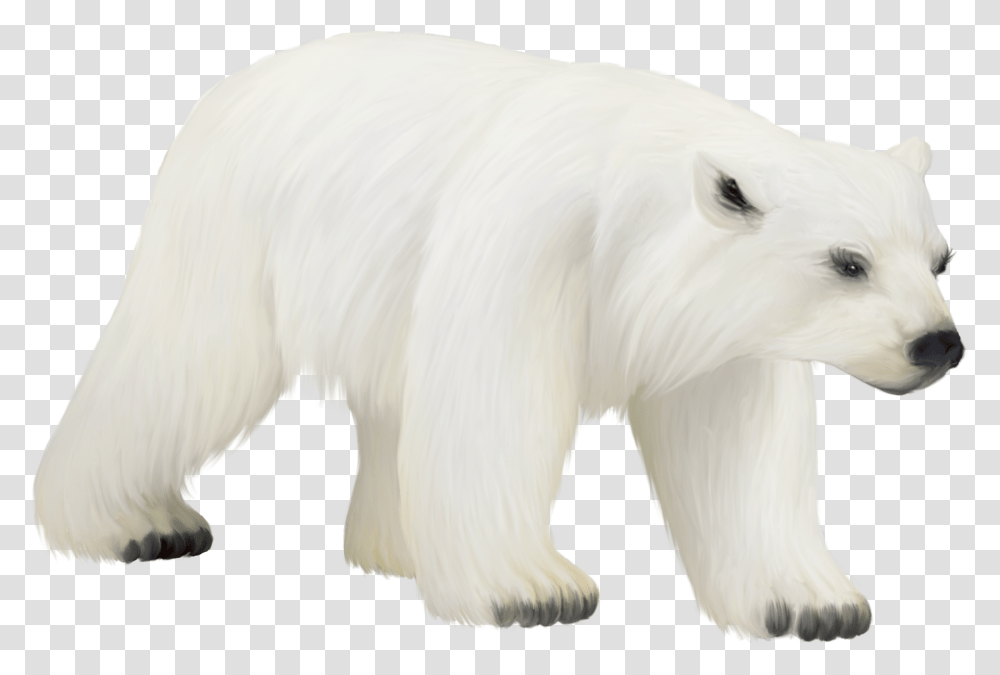Polar Bear Cub Clipart Polar Bear, Animal, Mammal, Canine, Pet Transparent Png