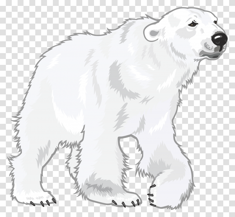 Polar Bear Cub Clipart White Polar Bear, Animal, Mammal, Wildlife, Dog Transparent Png