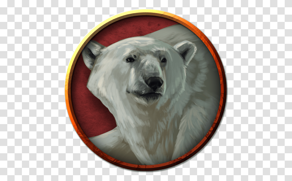 Polar Bear, Dog, Pet, Canine, Animal Transparent Png