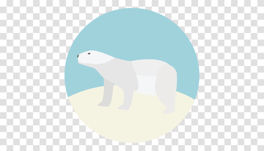 Polar Bear Image Royalty Free Stock Images For Your Design, Shark, Sea Life, Fish, Animal Transparent Png
