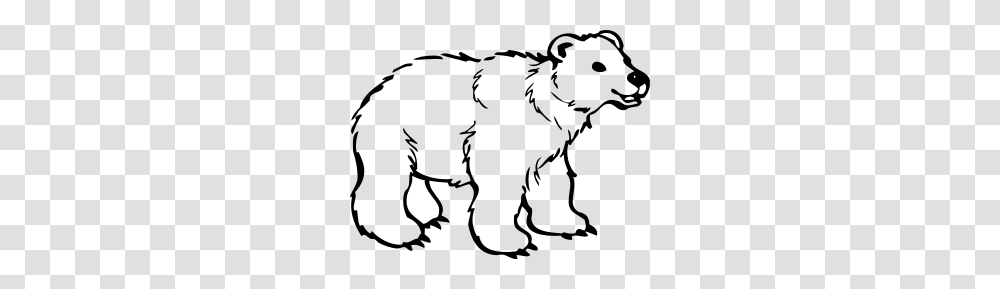 Polar Bear, Outdoors, Astronomy, Nature, Outer Space Transparent Png