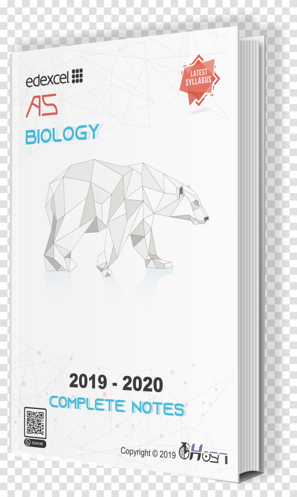 Polar Bear, Advertisement, Poster, Mammal Transparent Png