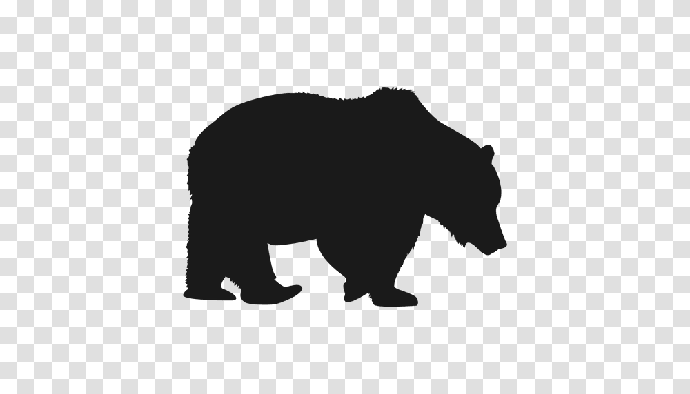 Polar Bear, Wildlife, Animal, Mammal, Black Bear Transparent Png