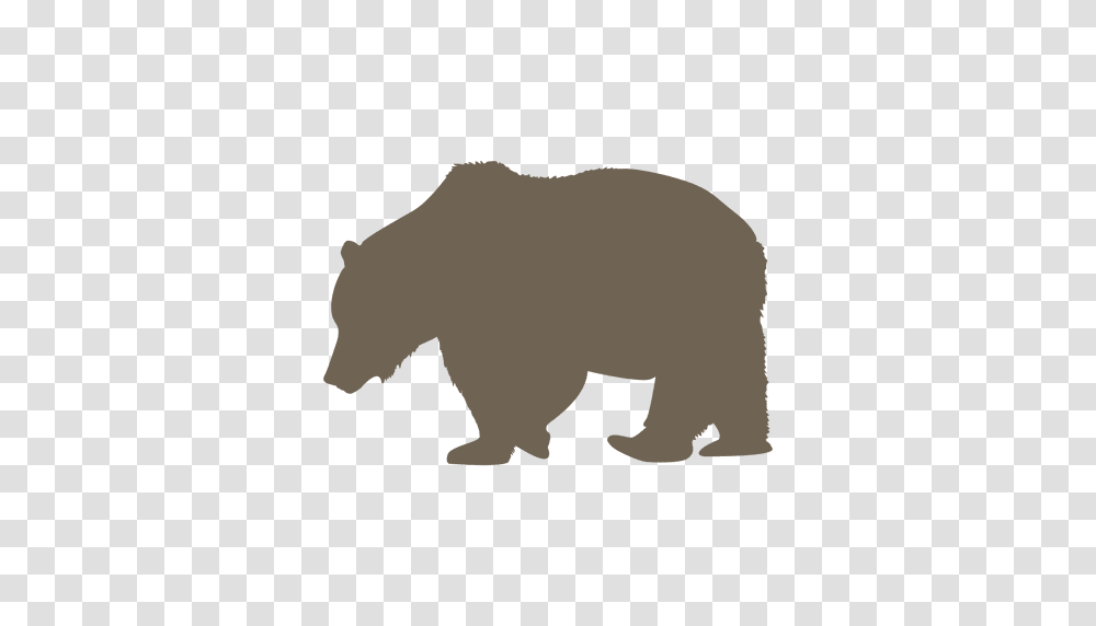 Polar Bear, Wildlife, Animal, Mammal, Brown Bear Transparent Png