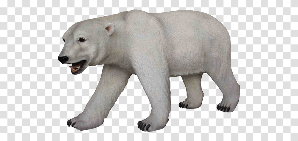 Polar Bear, Wildlife, Animal, Mammal, Elephant Transparent Png