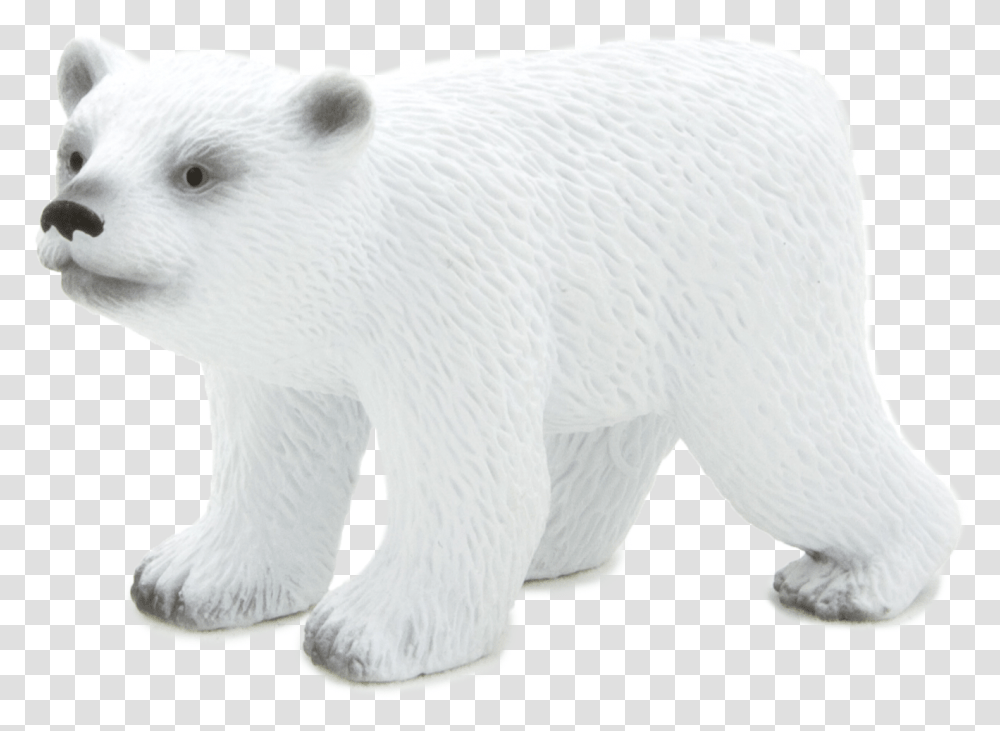 Polar Bear, Wildlife, Animal, Mammal Transparent Png
