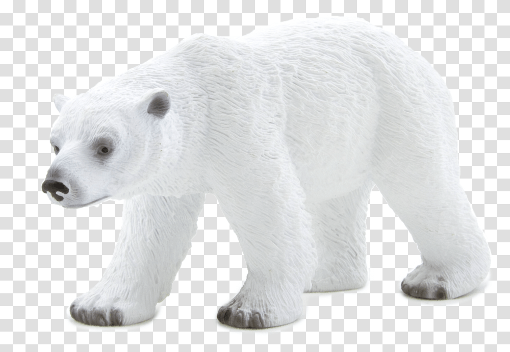 Polar Bear, Wildlife, Mammal, Animal Transparent Png