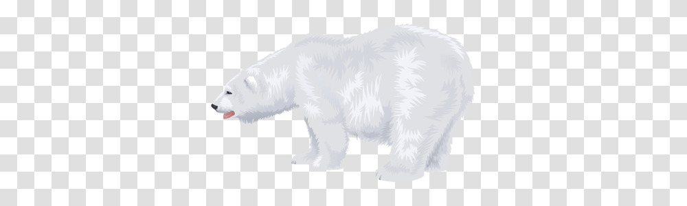 Polar White Bear Dlpng, Mammal, Animal, Wildlife, Polar Bear Transparent Png