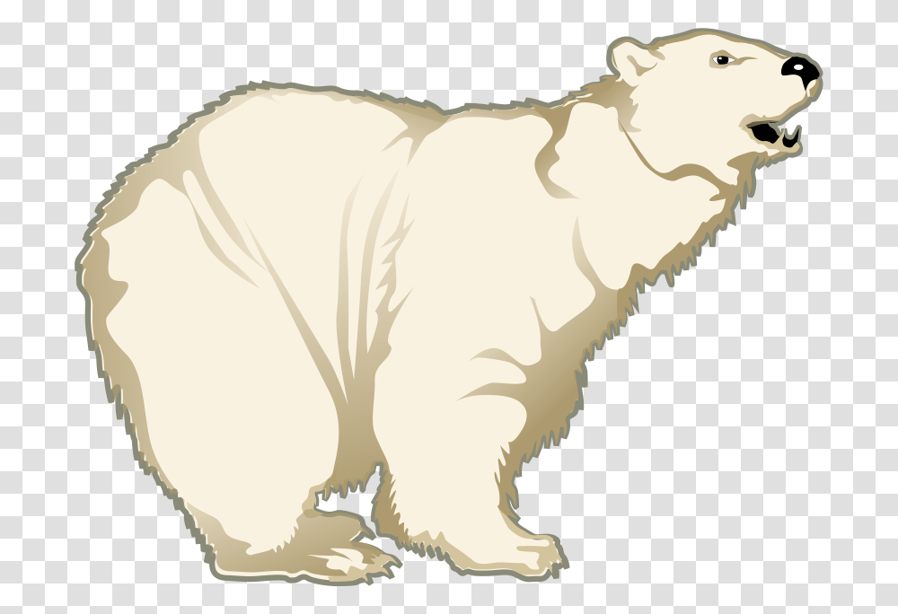 Polar White Bear Polar Bear, Mammal, Animal, Wildlife Transparent Png