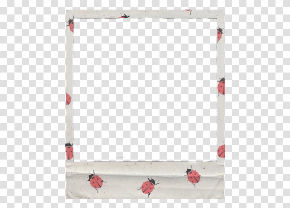 Polaroid Aesthetic Frame Ladybug Garden Roses, Apparel, Plant, Flower Transparent Png