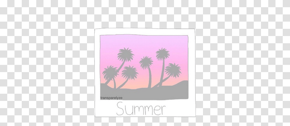 Polaroid Discovered By Vic Overlays Summer, Plant, Rug, Flower, Text Transparent Png