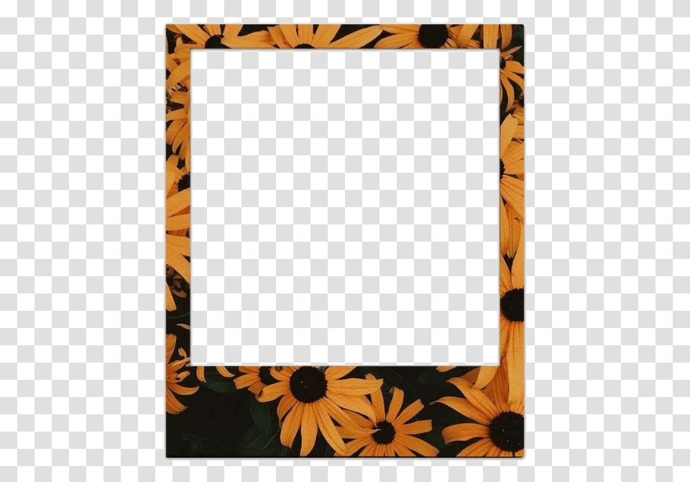 Polaroid Frame Hd, Blackboard, Rug, Plant, Dahlia Transparent Png