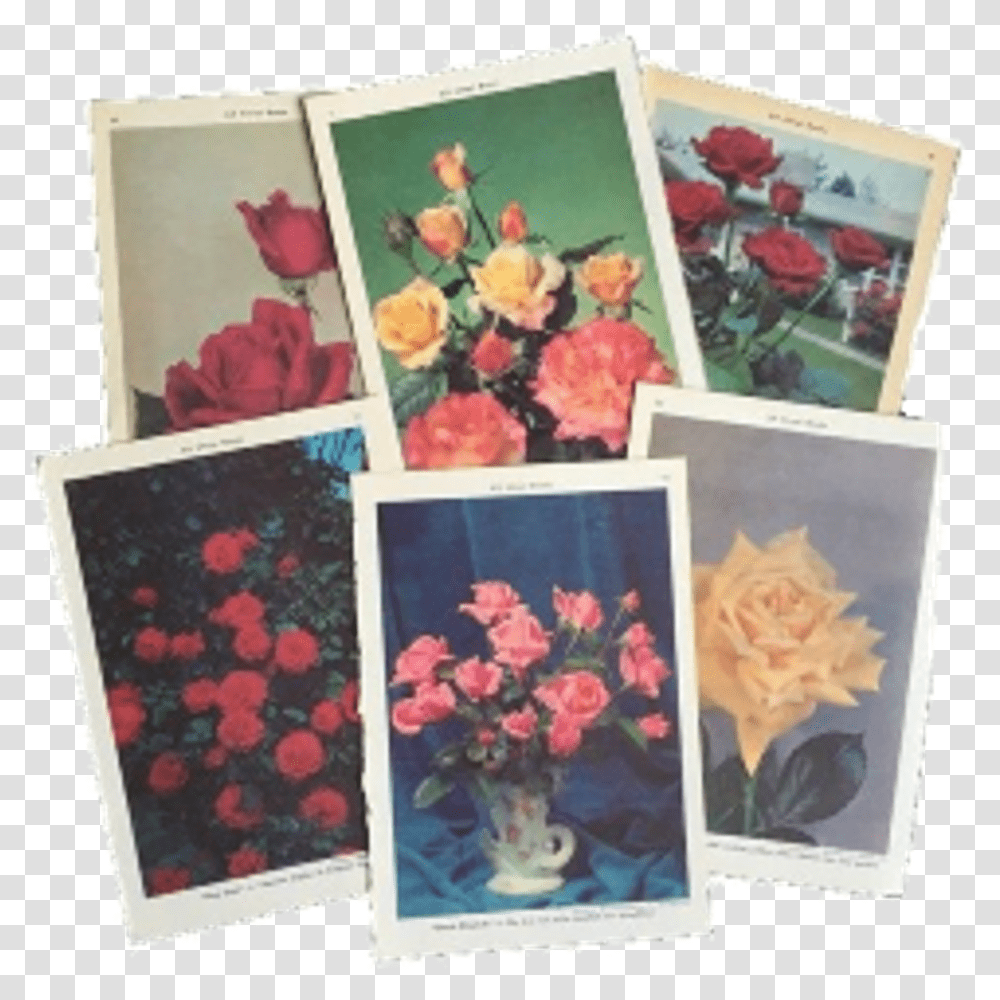 Polaroid Niche, Canvas, Painting, Flower Transparent Png