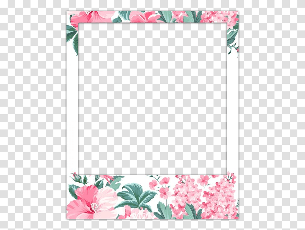 Polaroid Overlay, Plant, Flower, Blossom, Rug Transparent Png