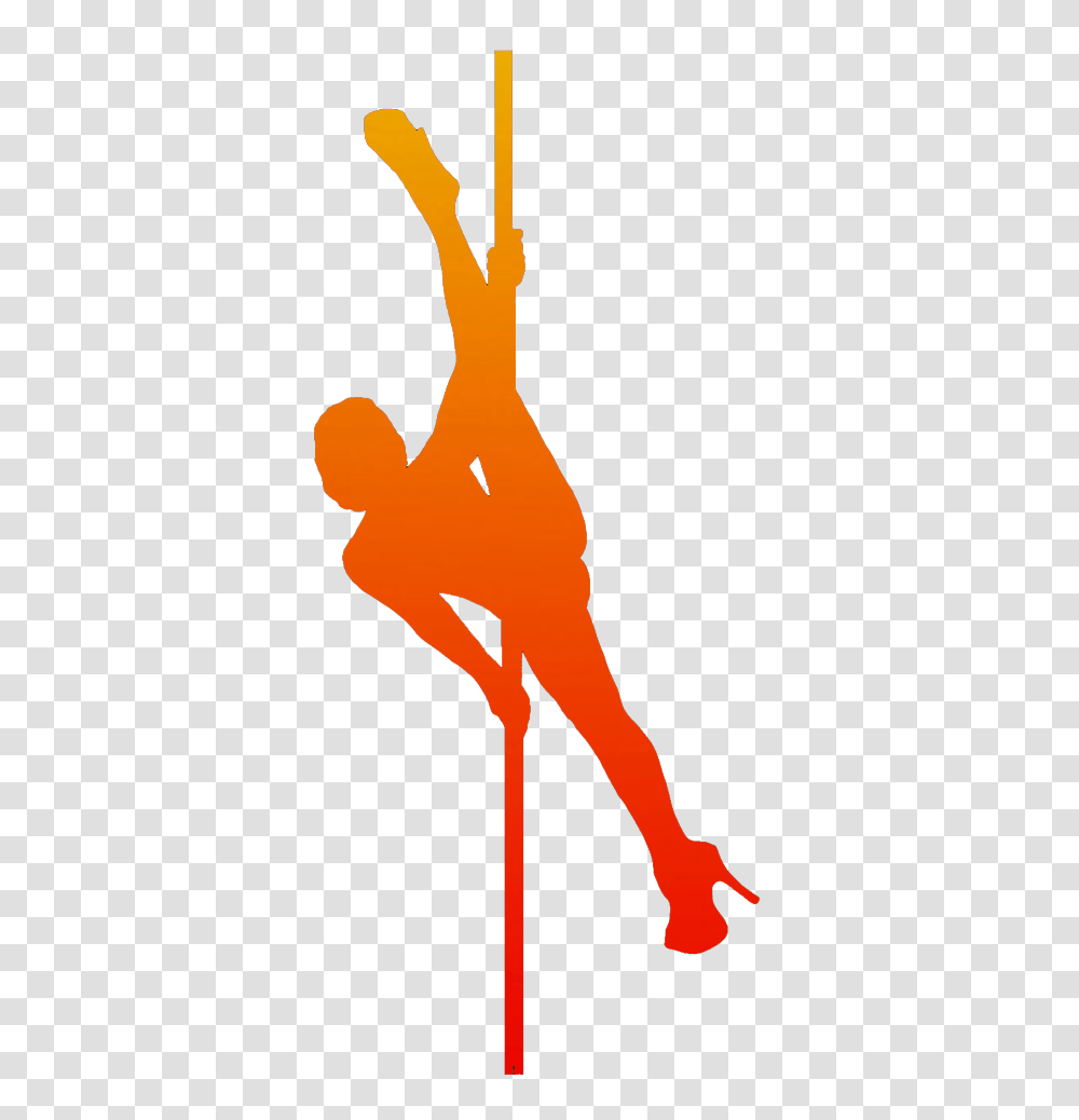 Pole Dance Competitions, Animal, Silhouette, Bird, Person Transparent Png