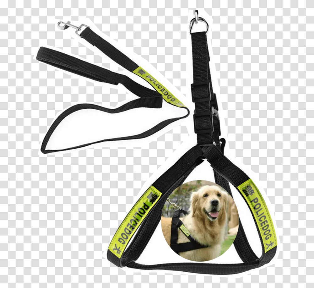 Police Dog Dog Rope, Pet, Canine, Animal, Mammal Transparent Png