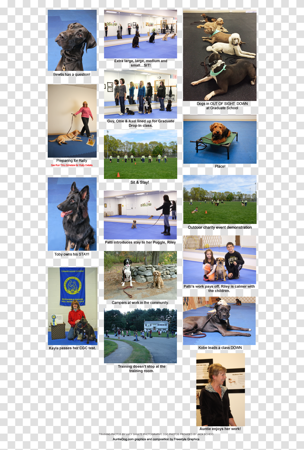 Police Dog Download Police Dog, Collage, Poster, Advertisement, Person Transparent Png