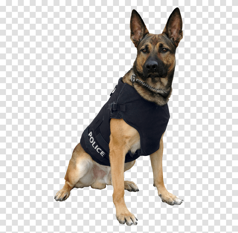 Police Dog, Pet, Canine, Animal, Mammal Transparent Png