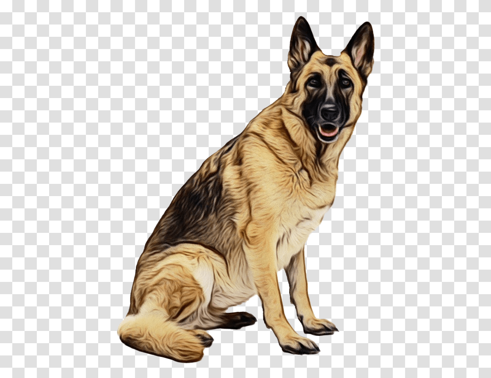 Police German Shepherd Dog German Shephers, Pet, Canine, Animal, Mammal Transparent Png