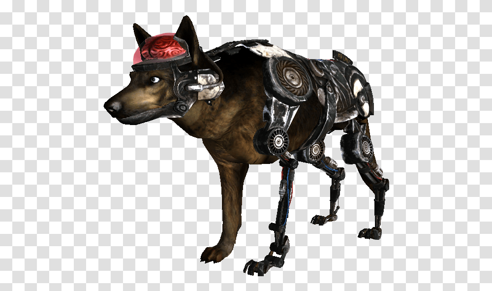 Policecyberdog Fallout Nv Fan Art, Horse, Mammal, Animal, Wasp Transparent Png