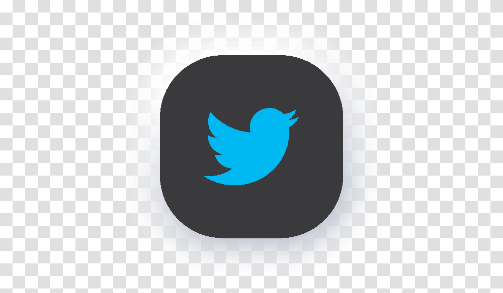 Policies And Disclosures Logo 1024 1024 Twitter, Animal, Bird, Text, Jay Transparent Png