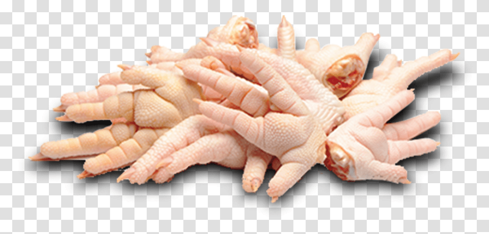 Pollo Chicken Feet Food Raw, Sea Life, Animal, Invertebrate, Person Transparent Png