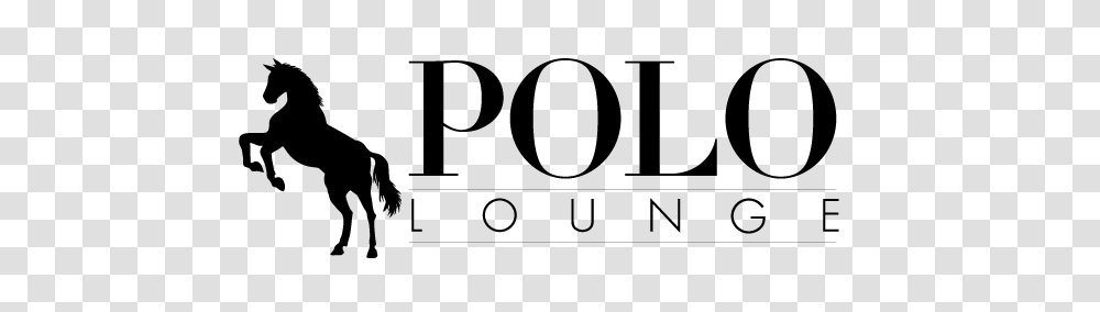 Polo Lounge, Gray, World Of Warcraft Transparent Png