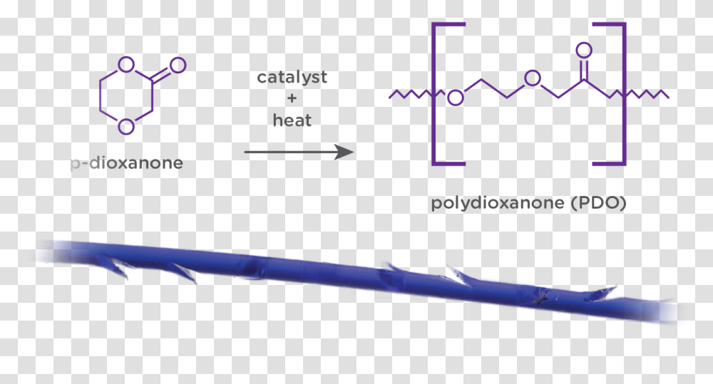 Polydioxanone Pdo Thread, Team Sport, Plot, Urban Transparent Png