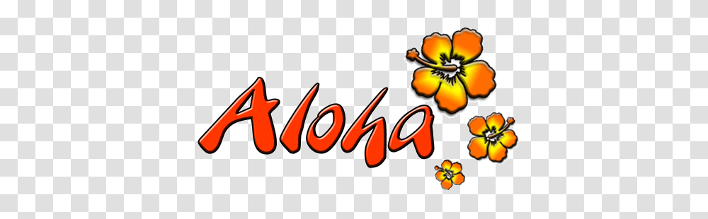 Polynesia Clipart Hawaiian Shirt, Plant, Dynamite, Flower Transparent Png