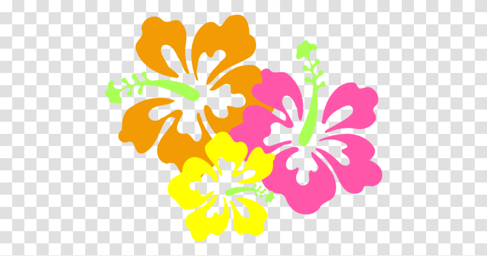 Polynesian Photo Frame Clipart Collection, Hibiscus, Flower, Plant, Blossom Transparent Png