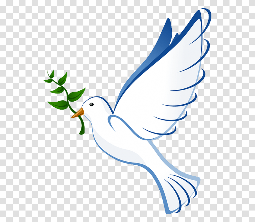 Pomba Branca Clipart Black And White Download Pomba Holy Spirit, Bird, Animal, Dove, Pigeon Transparent Png