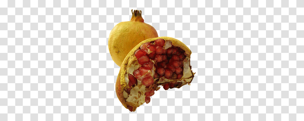 Pomegranate Plant, Fruit, Food, Produce Transparent Png