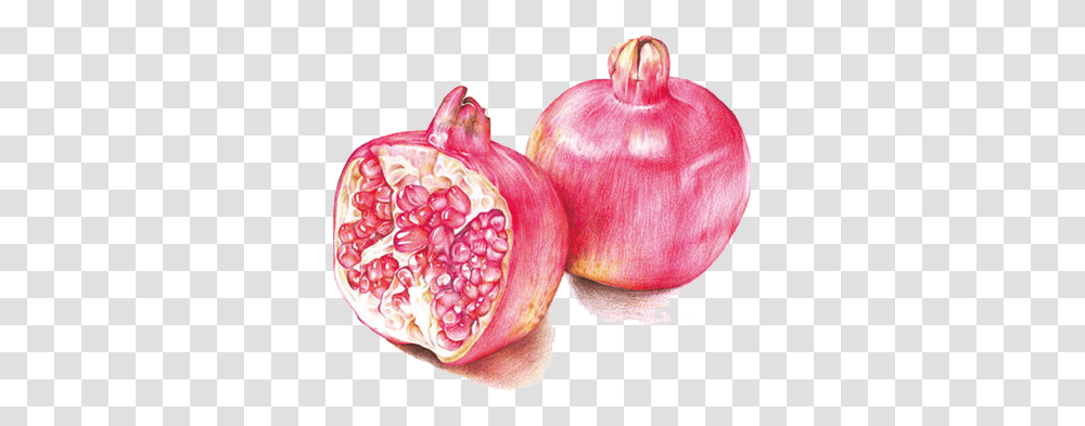 Pomegranate Drawing Pencil Colored Pencil Fruit Art Drawing, Plant, Produce, Food Transparent Png