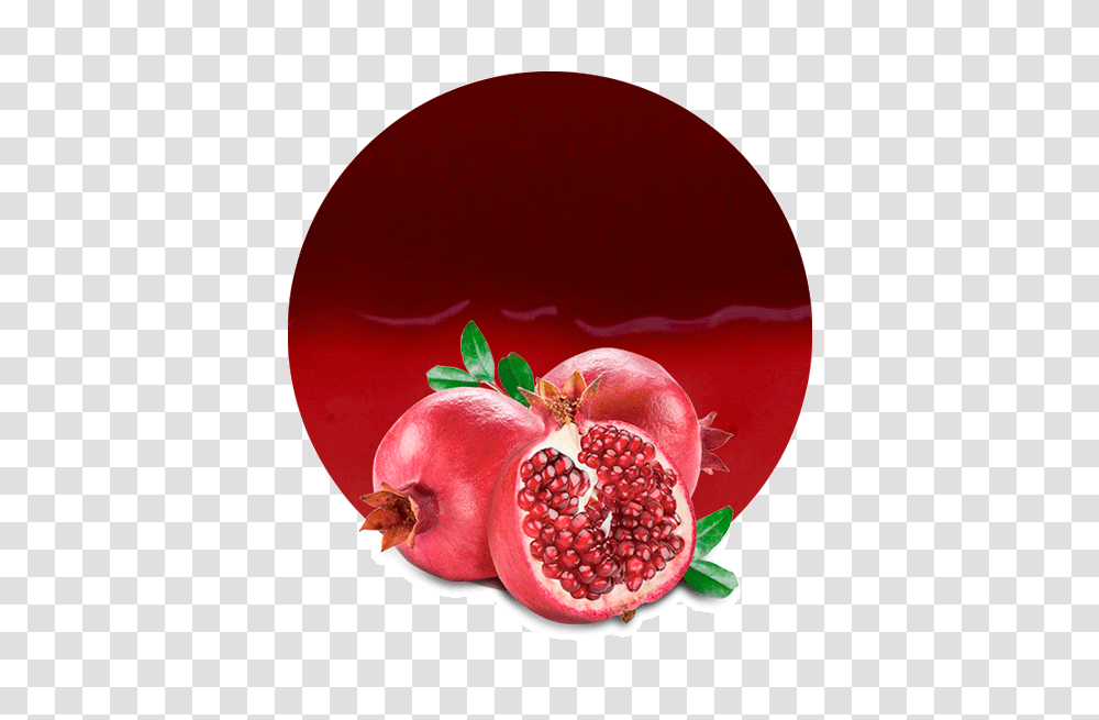 Pomegranate Filling Manufacturer And Supplier Lemon Concentrate, Plant, Produce, Food, Fruit Transparent Png