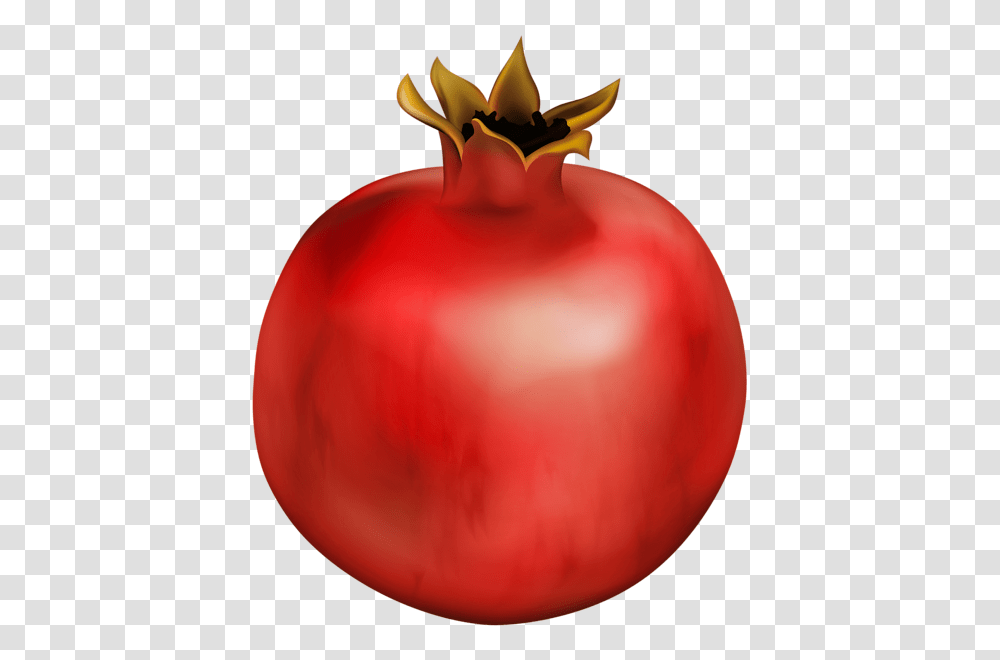 Pomegranate, Fruit, Plant, Food, Balloon Transparent Png